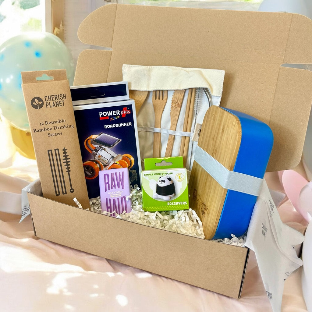 Kids Eco - Friendly Lunch Box & Accessories - Sustainable School Lunch Present for Boys & Girls - Cherish Home