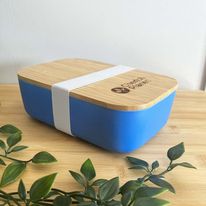 Eco Bamboo & Wheat Fibre Lunch / Bento Box