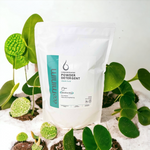 Plant-Based Organic Washing Powder (1kg)