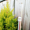 Bubblelight - Solar Garden Light