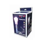 Peacock - LED Outdoor Light